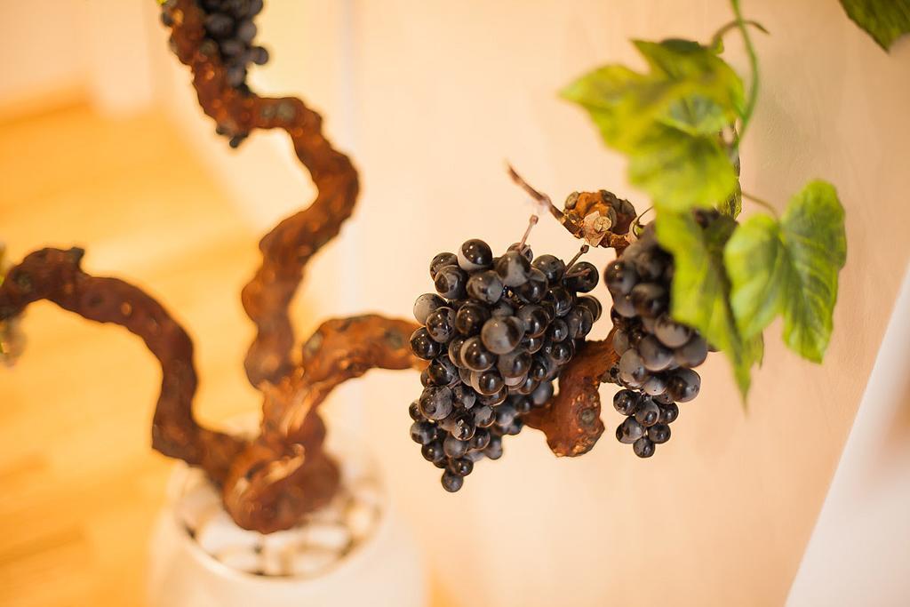 Vineyard Of Sibenik Apartment Room photo